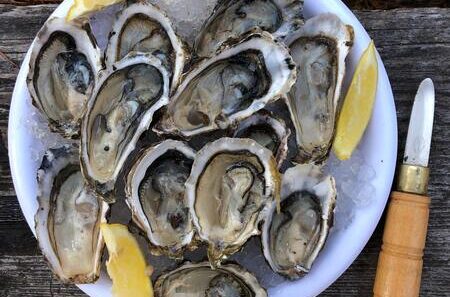 oester mes